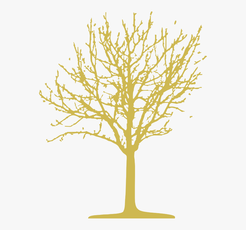 Illustration, HD Png Download