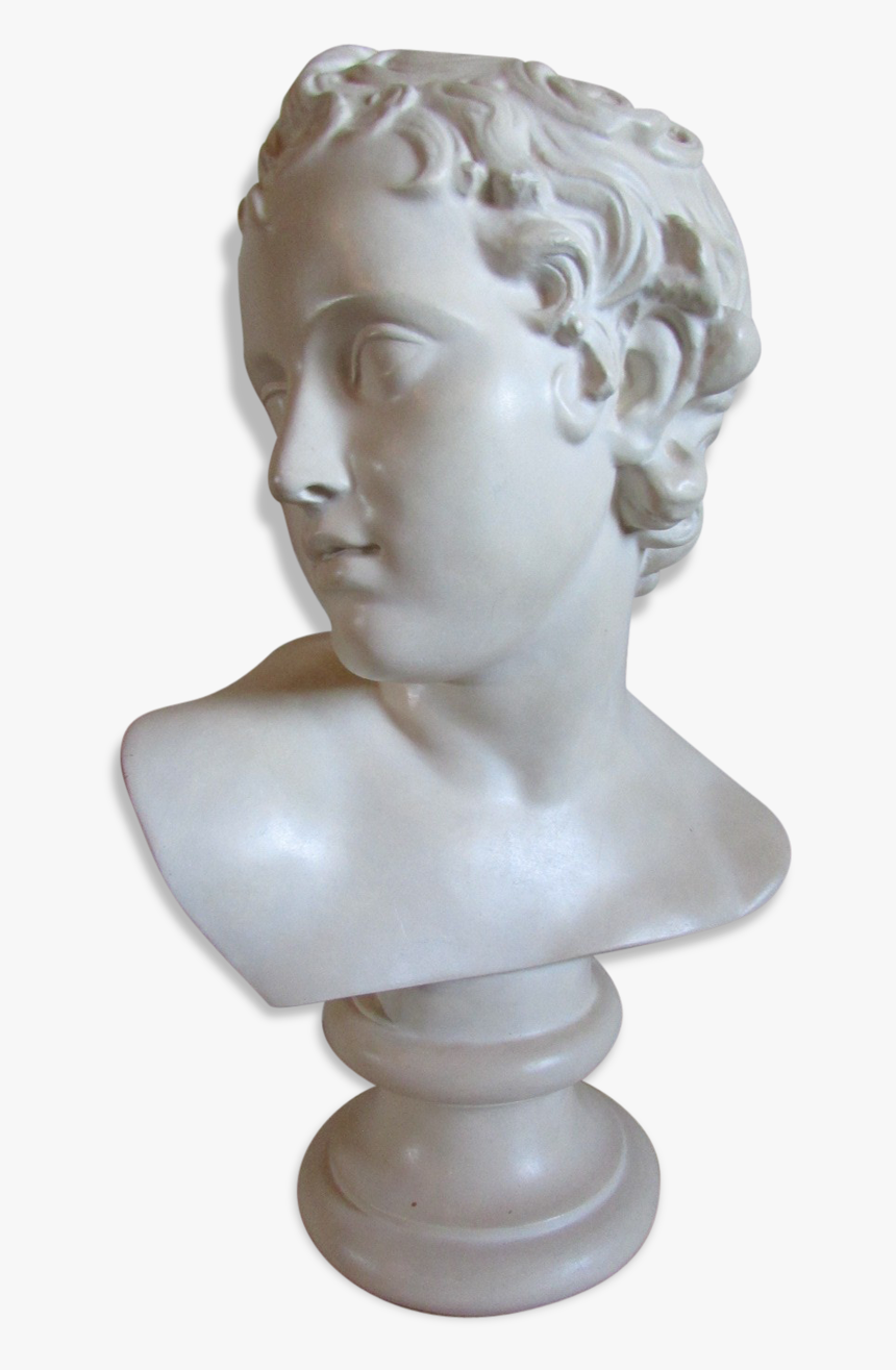 Head Of Young Man 
 Src Https - Bust, HD Png Download