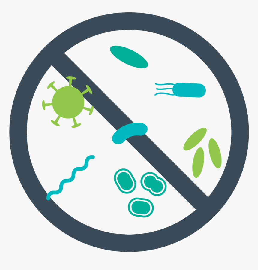 Anti Hollywood, HD Png Download