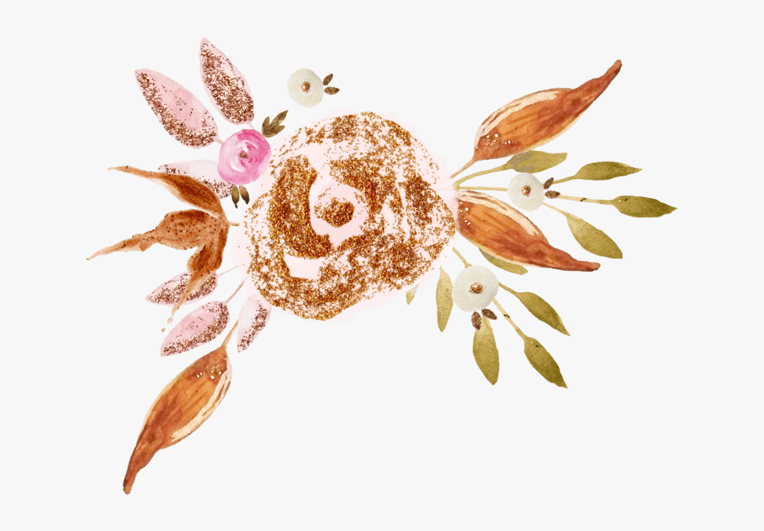 中国风荷花水彩画 - Orchids Of The Philippines, HD Png Download