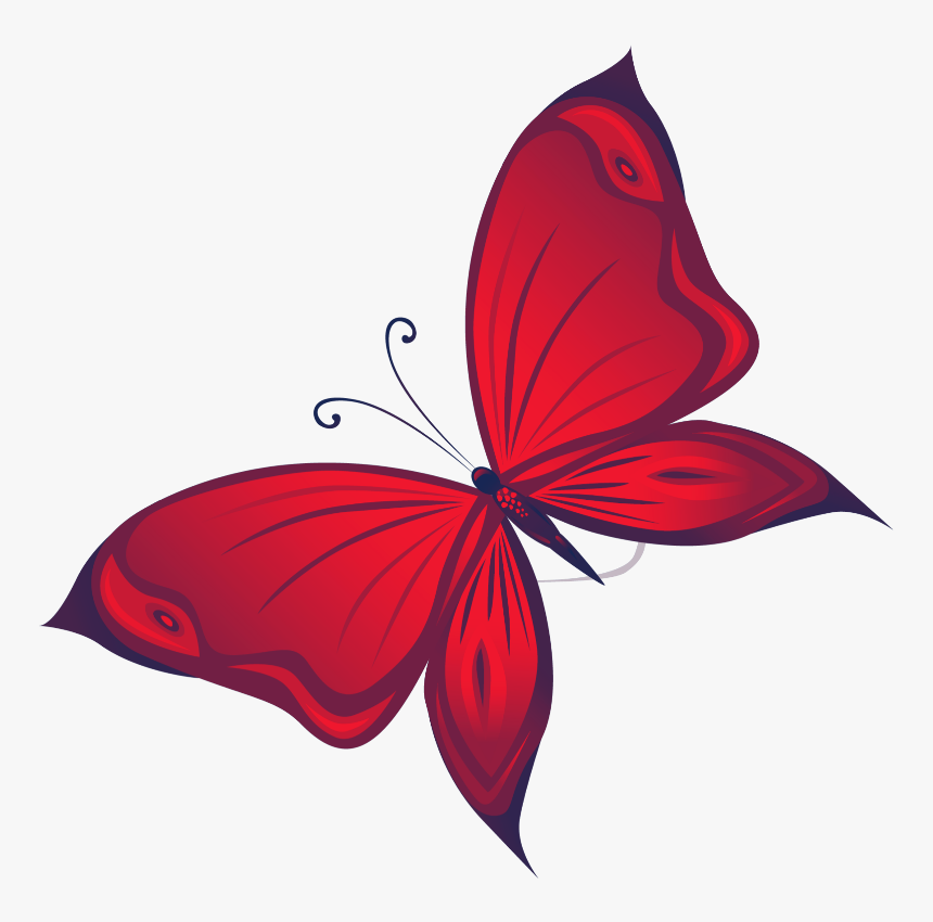 #mq #butterfly #butterflys #red - Riodinidae, HD Png Download