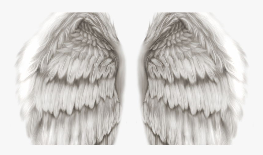 Hd Angel Wings Png , Png Download - Heavenly Angel Wings Png, Transparent Png