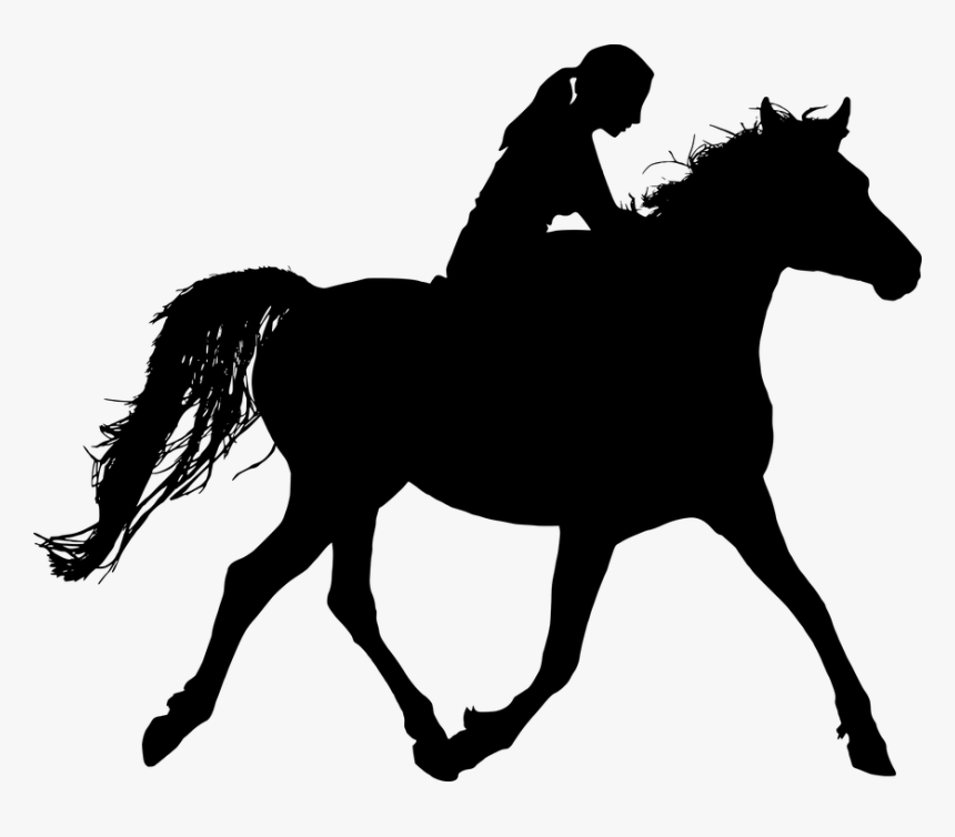 Horse Rider Silhouette Png, Transparent Png