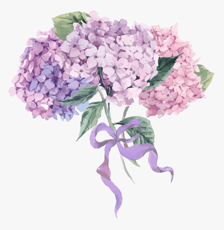 春天创意绿植鲜花边框元素设计 - Vintage Hydrangea Illustration, HD Png Download