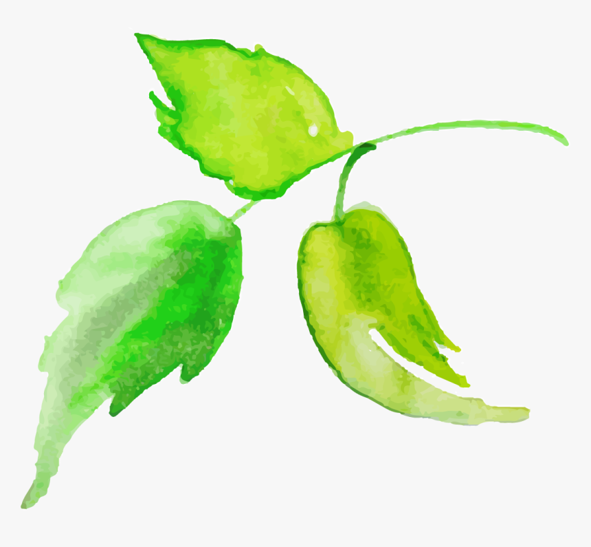 Watercolor Paint, HD Png Download