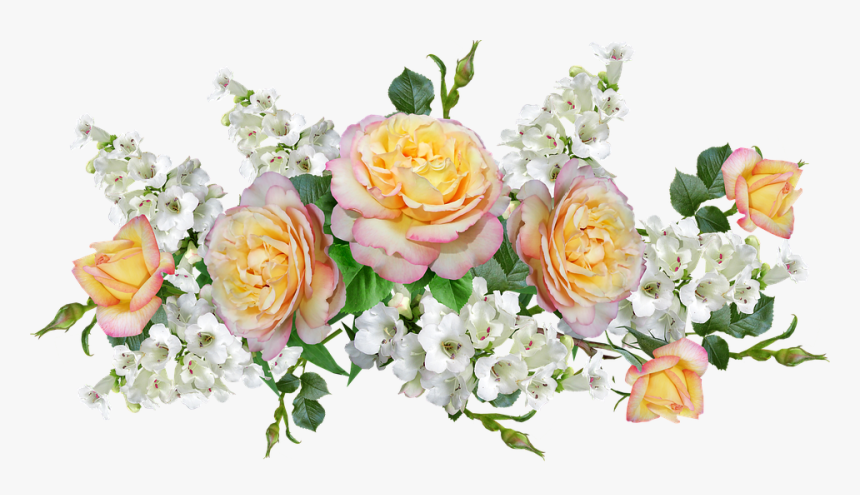 Garden Roses, HD Png Download