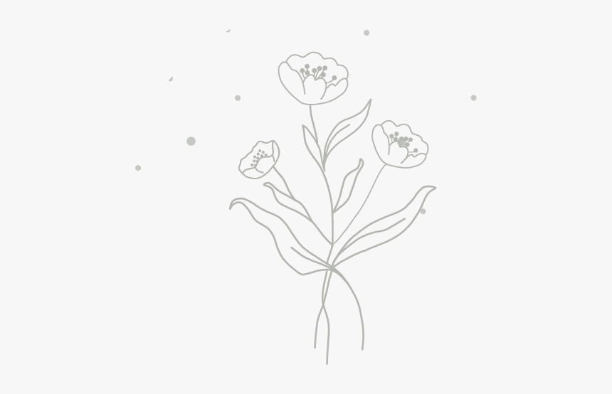 Sketch, HD Png Download