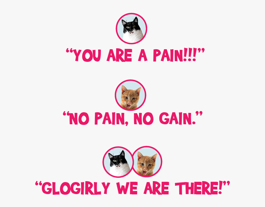 Jordan Romero, HD Png Download