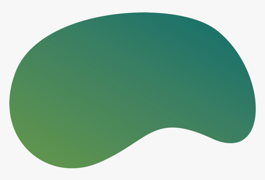 Right Charter Member Specifics - Proibido Uso De Celular, HD Png Download