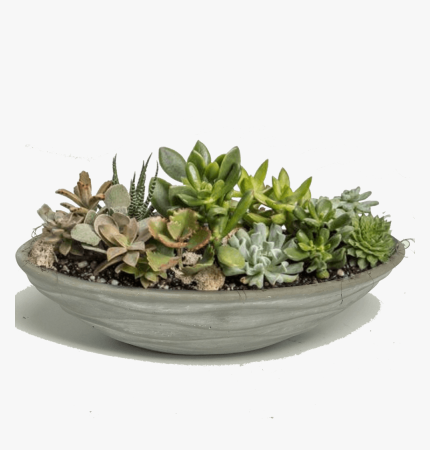 Flowerpot, HD Png Download