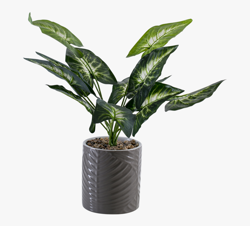 Flowerpot, HD Png Download