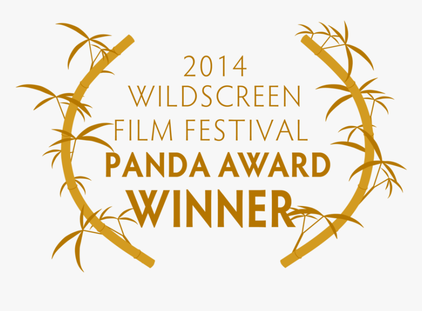 Panda Awards Logo, HD Png Download