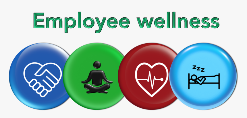 Keys To Building A Dynamic Employee Wellness Programme - Employee Wellness Programme, HD Png Download