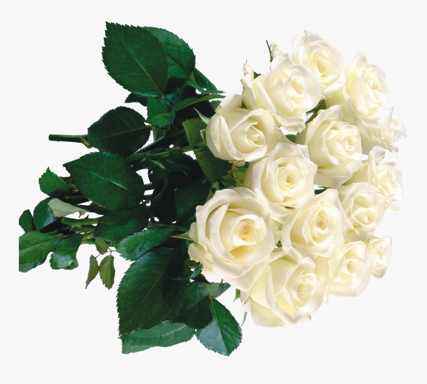 White Roses In Bouquets - Букет Белые Розы Пнг, HD Png Download