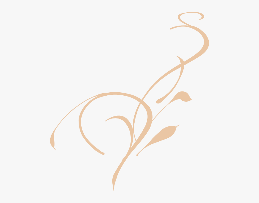 Picture Freeuse Library Swirl Clipart Background Free - Vine Clip Art, HD Png Download