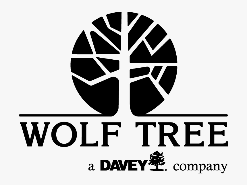Wolf Tree Inc - Wolfe Tree, HD Png Download