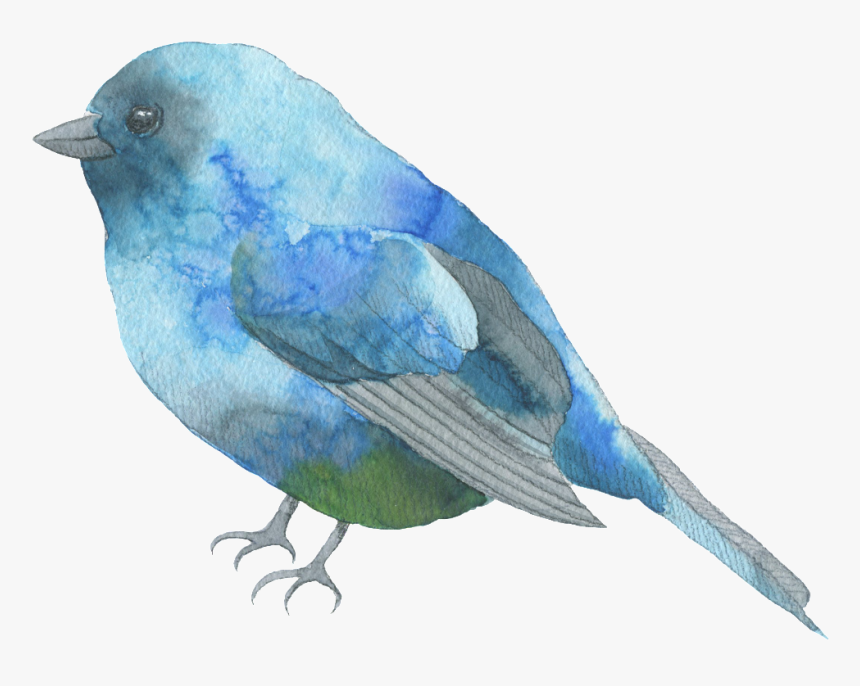 Blue Feather Bird Watercolor Transparent Decorative - Watercolor Bird Transparent Background, HD Png Download