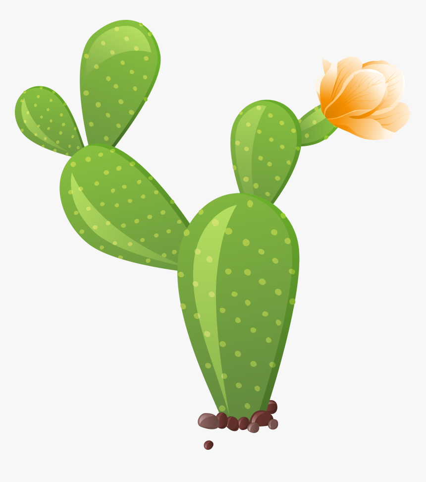 Cactus Clipart Transparent, HD Png Download
