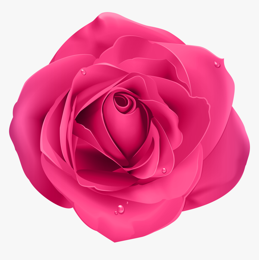 Rosa Png, Transparent Png