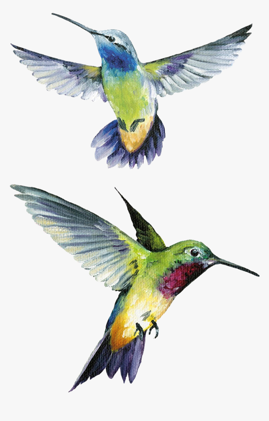 Clip Art Pin By Stephen Glass - Painting, HD Png Download