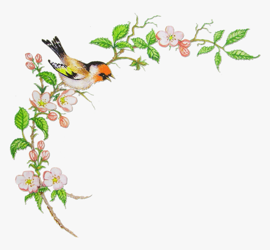 Изображение Для Плейкаста, HD Png Download