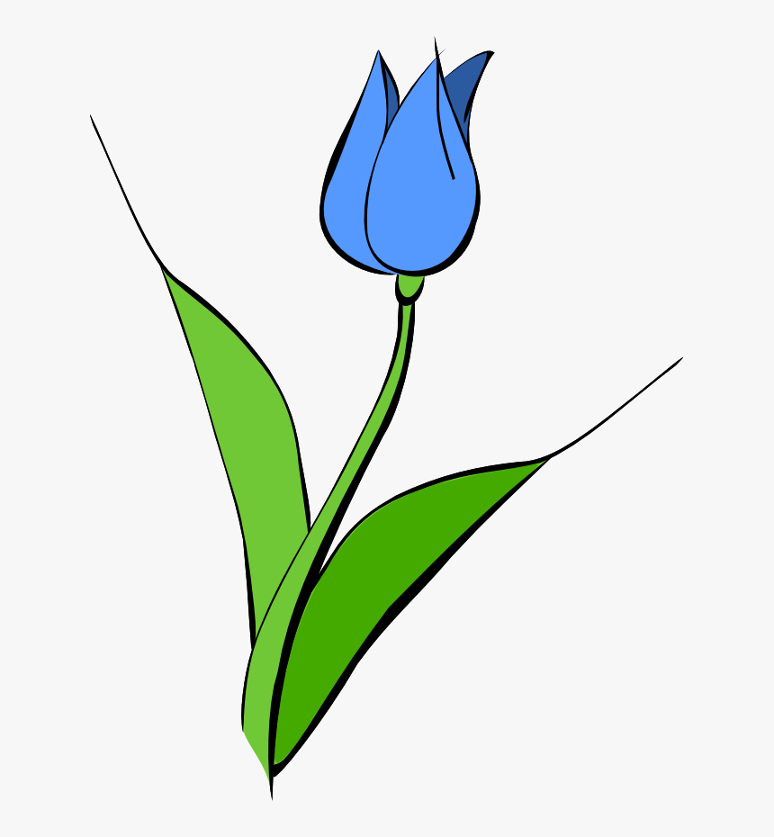Tulipblue - Yellow Tulip Clipart, HD Png Download