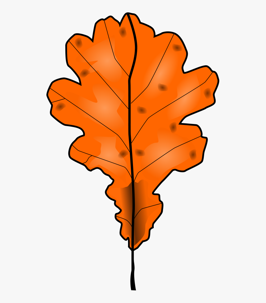 Dead Tree Leaf Clipart , Png Download - Dead Tree Leaf Clipart, Transparent Png