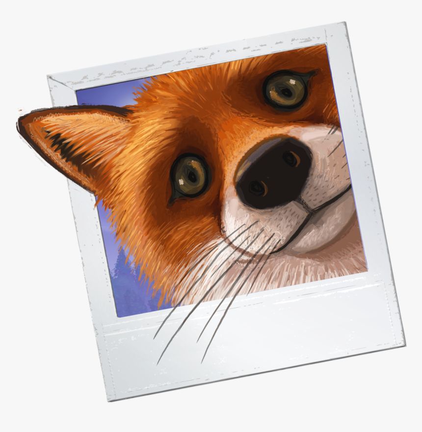 Red Fox, HD Png Download