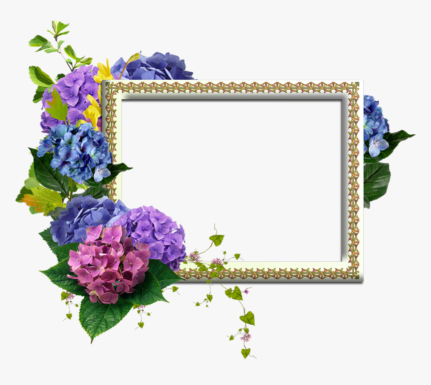 Marco De Flores Png, Transparent Png