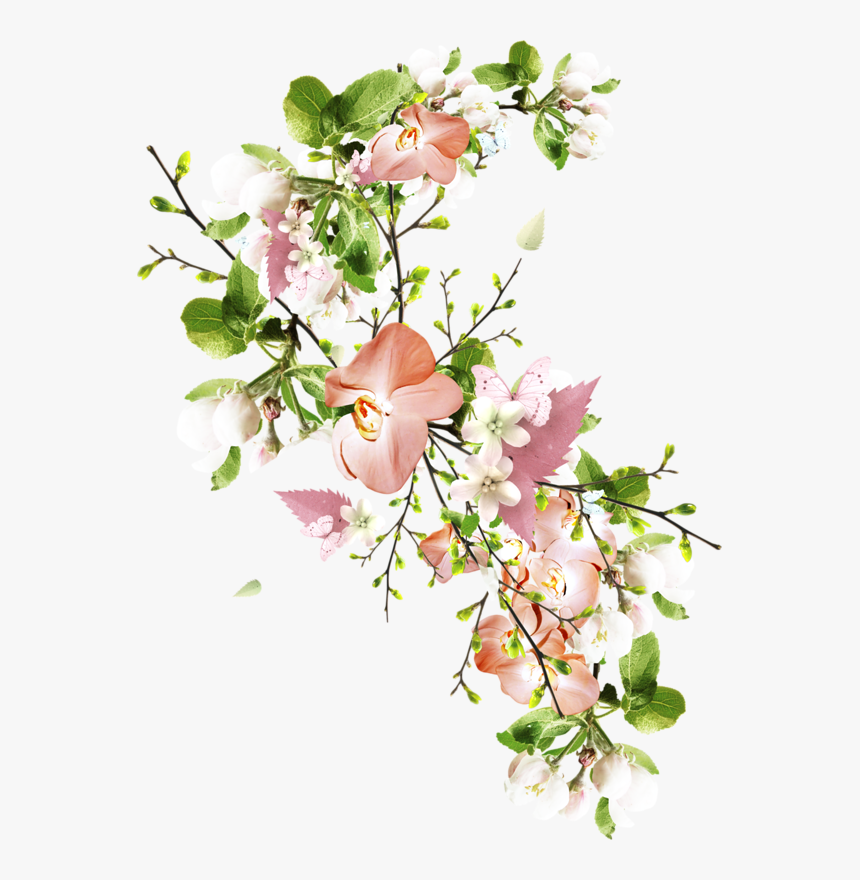 Flower, HD Png Download