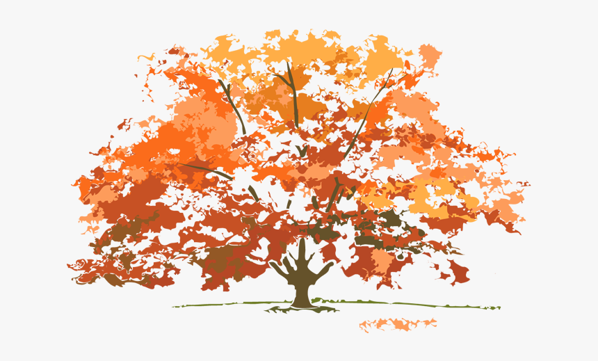 Do Trees Look Like In Each Season, HD Png Download