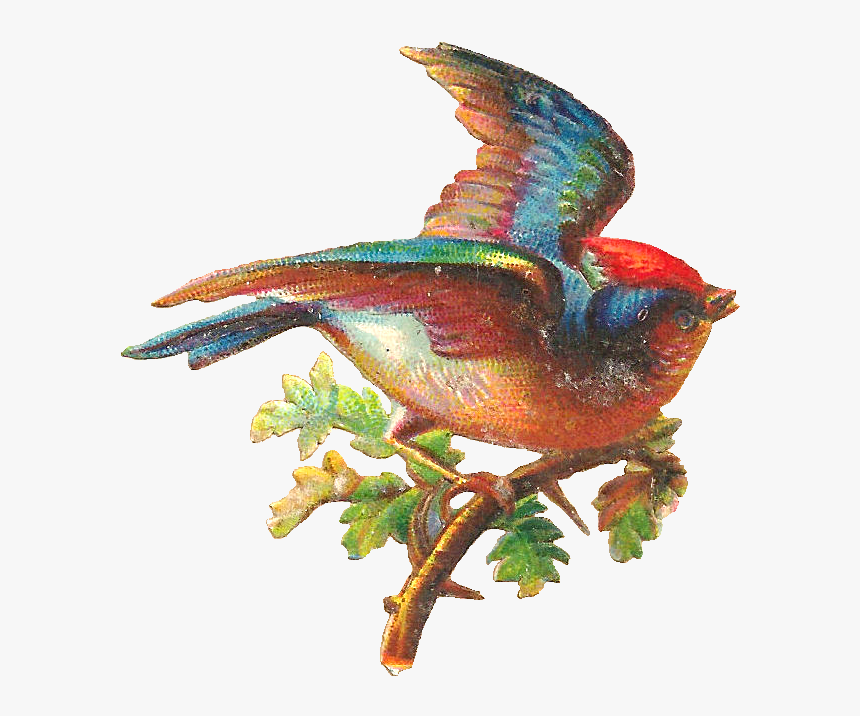 Clip Art, HD Png Download