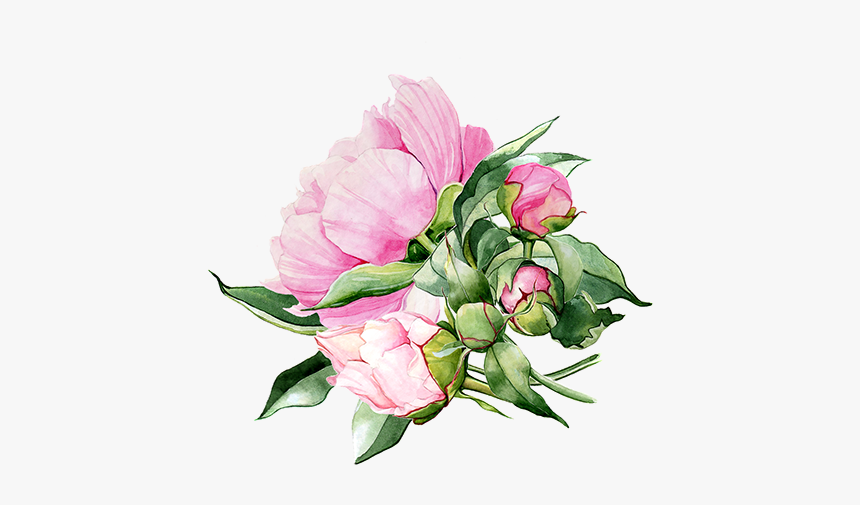 Flower Background Image Free, HD Png Download
