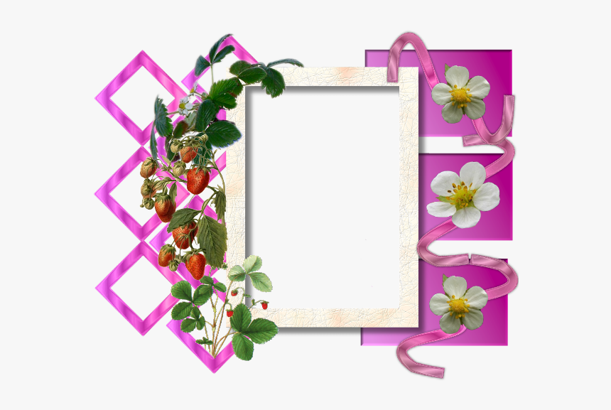 Picture Frame, HD Png Download