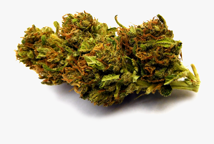 Blueberry#2 Nobg Stickybydz - Moss, HD Png Download