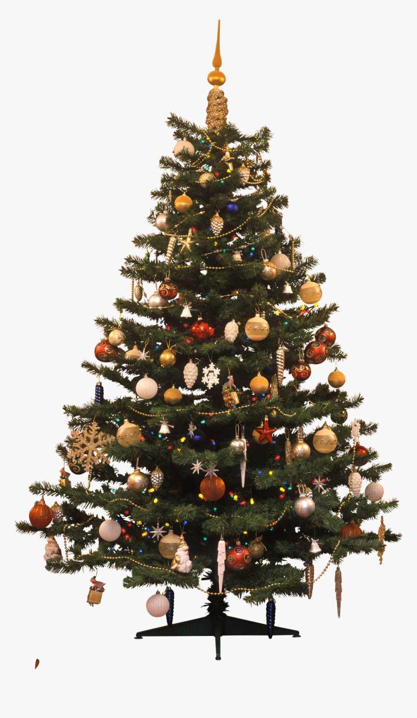 Christmas Tree Traditional Png Image - Christmas Tree, Transparent Png