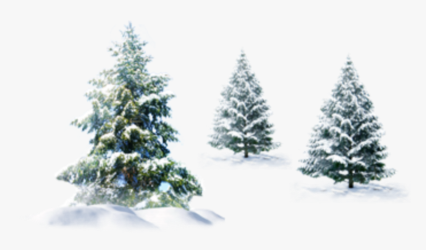 #ftestickers #winter #snow #landscape #trees #pine - Transparent Background Christmas Snow Png, Png Download