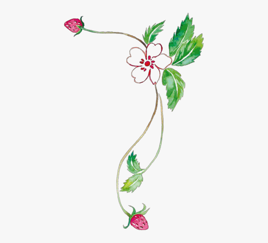 设计/艺术 Word小报花边大全 电子小报花边 手抄报花边 小报素材 小报, HD Png Download