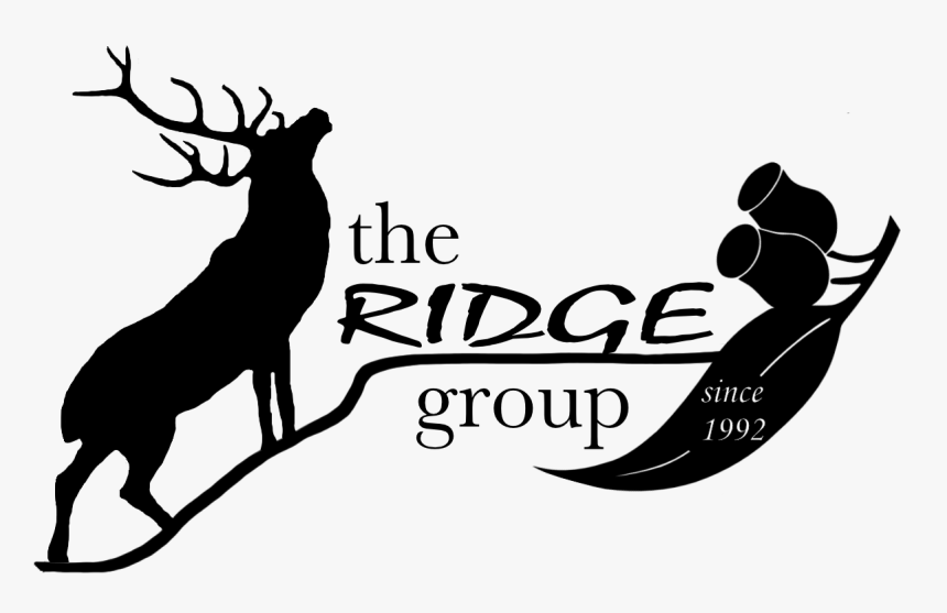 Gum Leaf Clip Art, HD Png Download