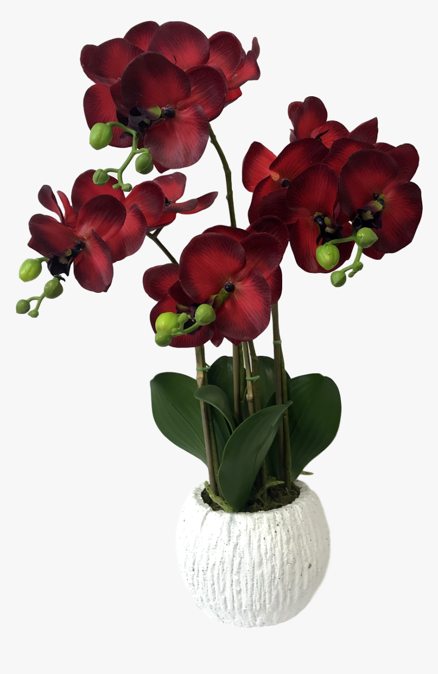 Flower Pots Png, Transparent Png
