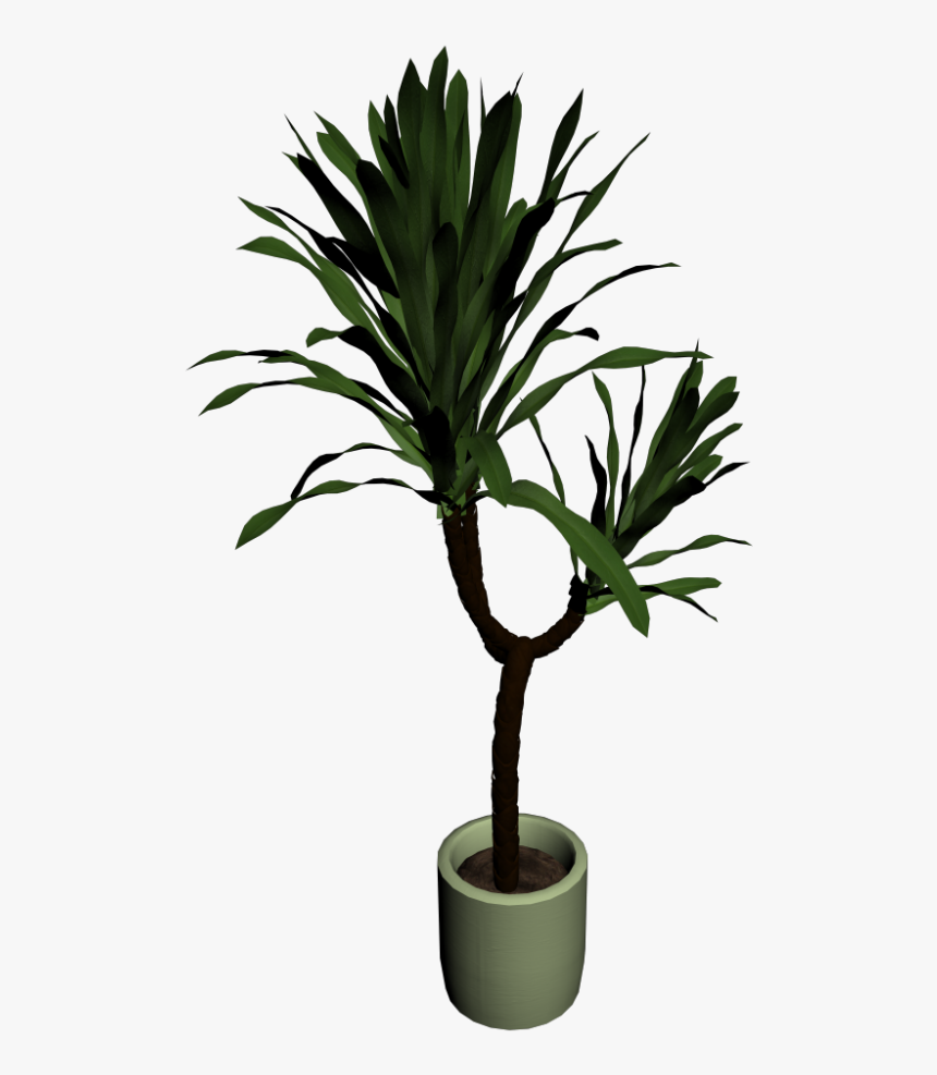 House Plant Png - Yuccapalme Png, Transparent Png