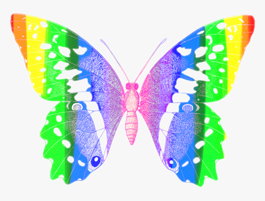 #butterfly #colorful #butterflyeffect #red #orange - Papilio Machaon, HD Png Download