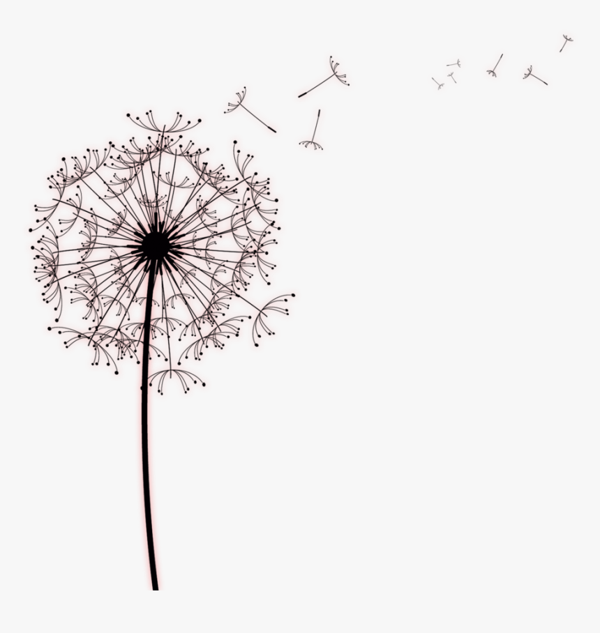 Kisspng Paper Common Dandelion Drawing Photography - Designs For Sympathy Cards, Transparent Png