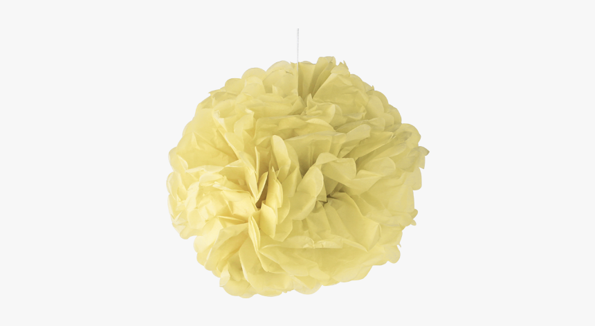 Pale Yellow Paper Pom Poms - Carnation, HD Png Download