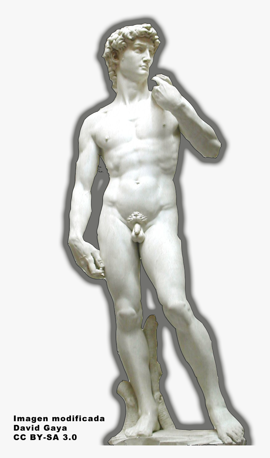Accademia Di Belle Arti Firenze, David Statue, HD Png Download