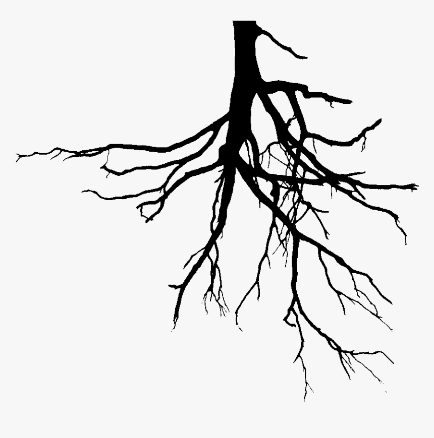 Sketch, HD Png Download