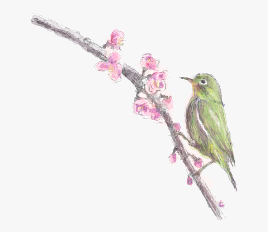 梅・鶯・collar - 梅 と 鶯, HD Png Download