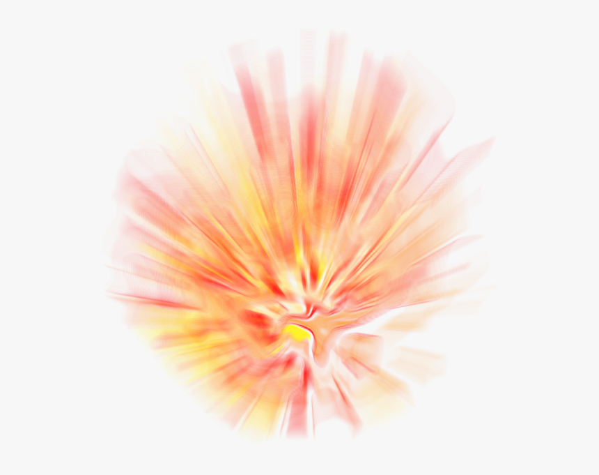 Macro Photography, HD Png Download