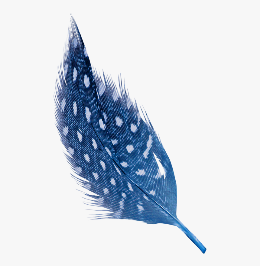 Portable Network Graphics, HD Png Download