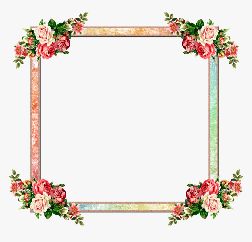 花朵彩色装饰框图片 - Câu Chuyện Mèo Thích Ăn Cá, HD Png Download